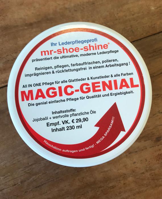 mr-shoe-shine - MAGIC-GENIAL